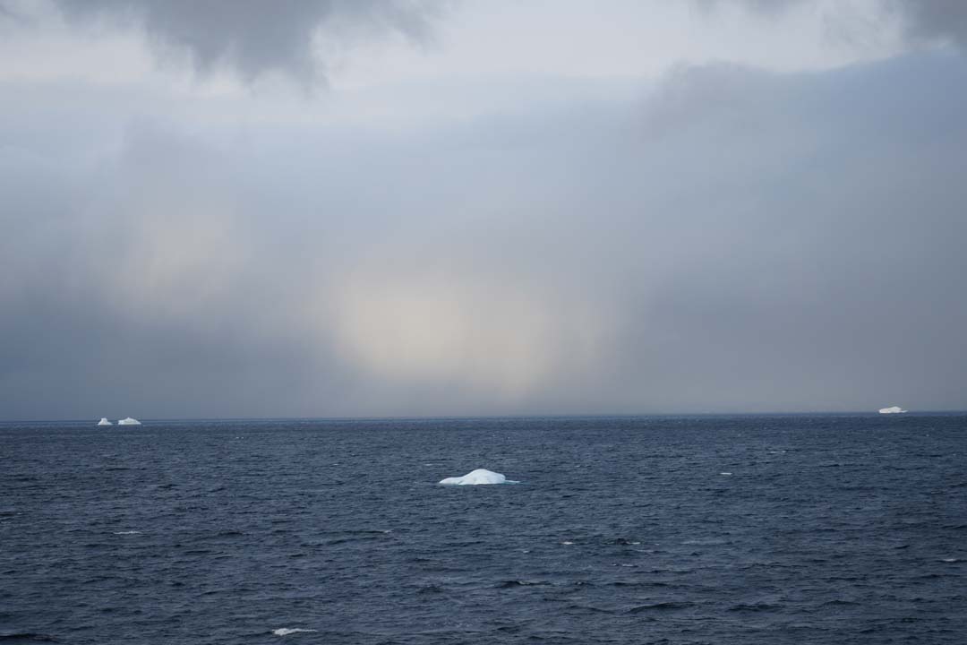 Costa Polar